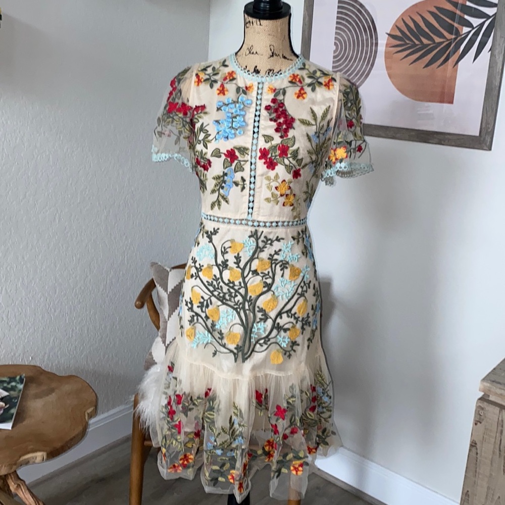 Stunning embroidered dress